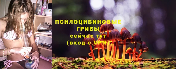 герыч Ветлуга